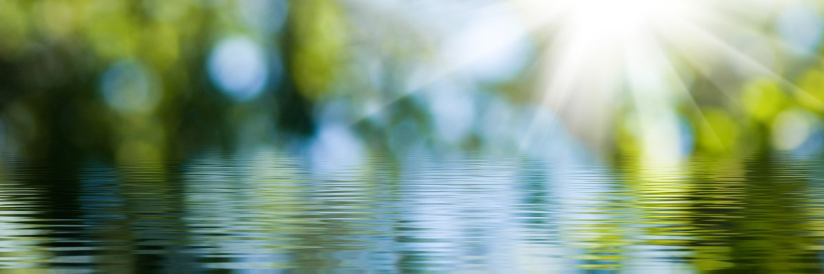 blurred image of natural background from water and plants